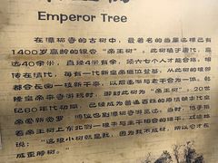 -潭柘寺景区