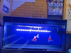 -金山网咖(汇嘉时代店)