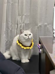 -兮奈ネイル美甲美睫·皮肤管理