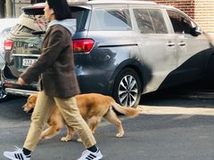 -宝健路步行街(Pedestrian Shopping Street)