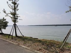 -明珠湖天鹅苑·农家菜馆