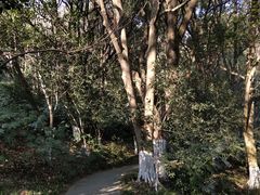 -杭州半山国家森林公园