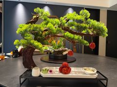 -宋宴(虎跑店)