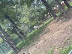 -秦皇岛野生动物园