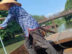 -溱湖国家湿地公园