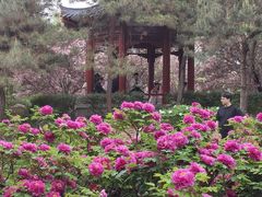 -洛阳市隋唐城遗址植物园