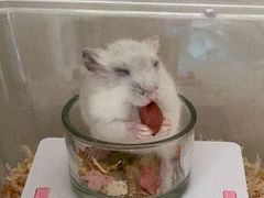 -三旗百汇商品城