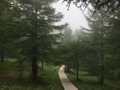 -驼梁风景区