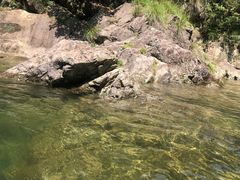 -安吉龙王山峡谷漂流
