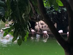 -九龙公园