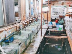 -蓝湾碧波·老字号·疍家非遗海上餐厅