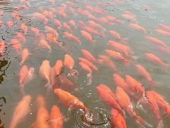 -WhaleSports户外水上运动俱乐部(朝阳公园店)