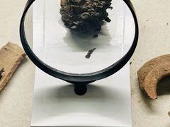 -茯茶镇