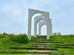 -空港花田景区