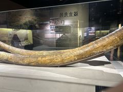 -唐山抗震纪念馆