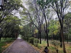 -洛阳市隋唐城遗址植物园