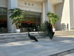 -西昌邛海宾馆
