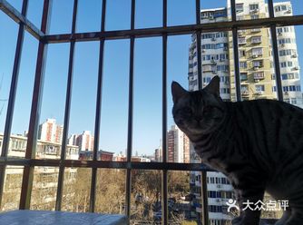 你都不好意思涨5斤。春光明媚，哪也不敢去