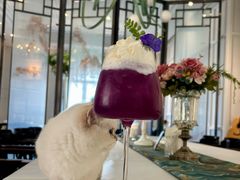 -22ºN BISTRO西餐&酒馆