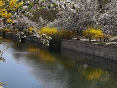 -海棠花溪(元大都城垣遗址公园)