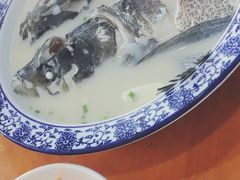-全乐鱼馆·淳牌有机鱼直营店