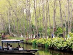 -合肥滨湖国家森林公园