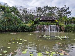 -中国科学院西双版纳热带植物园