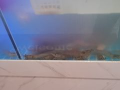 -鹅香四海·卤水火锅·砂锅粥·潮汕菜(宝安店)