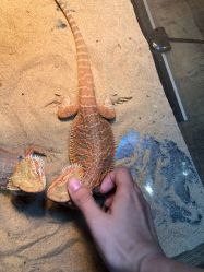 -Zoolung Zoolung动物主题公园(海信广场店)