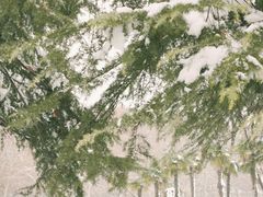 -河南省黄河迎宾馆