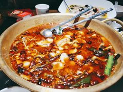-蜀都丰 川菜·水煮活鱼(万象九宜城店)