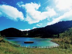 -武陵山森林公园