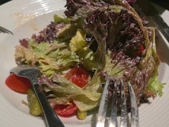 -The Cheebat 锌吧·Bistro(体育西店)