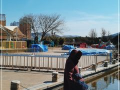 -济南国际园博园