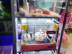 -花鸟鱼虫鲜花绿植市场(玉泉路店)