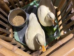 -馬蘭花開(车站大道店)