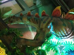 点击看大图 -恐龙探索乐园(磁器口店)