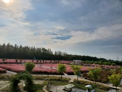 -嘉北郊野公园