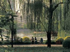-迎泽公园