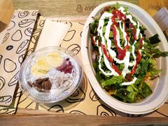 -油梨树AVOCADO TREE(望京店)