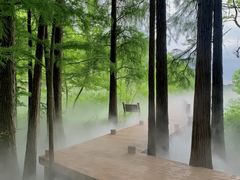 -东湖落雁景区