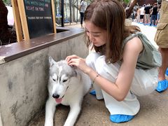 -TrueLove @ Neverland (Husky Cafe)