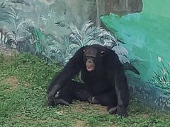 -西霞口神雕山野生动物世界