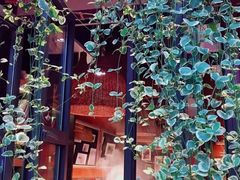 -咕嘟草帽鱼·牛奶一样的鲜鱼汤(包河万达广场创始店)