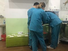 -守诺宠物医院·眼科· 特色牙科·异宠专科(虹口店)