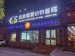 -北京观赏动物医院·24小时大型综合·猫专科·异宠专科