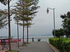 -深圳湾公园-停车场