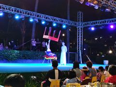 -渔家火锅·海鲜自助餐·演艺(亚龙湾天域酒店)