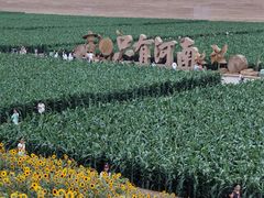 -函谷关历史文化旅游区