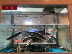 -石锅苗苗鱼(武汉首店)